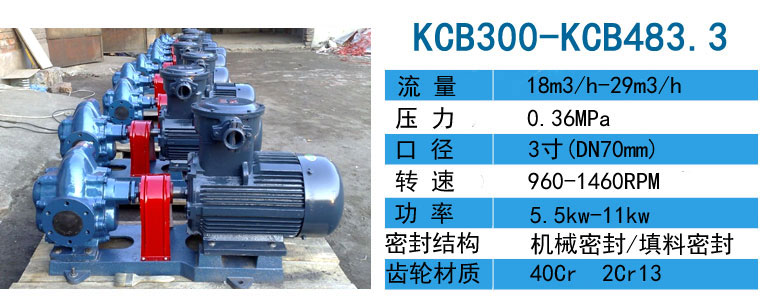 KCB齒輪油泵防爆整機(jī) KCB齒輪油泵防爆整機(jī)